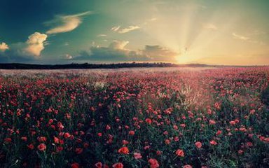 �x��y(c��)���C(j��)��Ҫ��ʲô