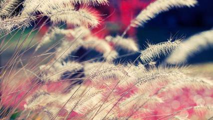 �������ڸ��N�h�������ӷ��o